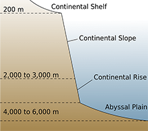 Continental Shelf, Continental Slope, Continental Rise, Abyssal Plain.