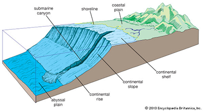 Submarine Canyon