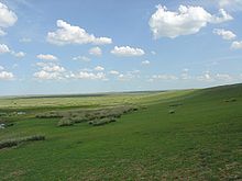 Landforms on Earth: Grasslands Landforms on Earth: Grasslands