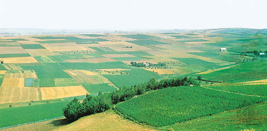 Landforms on Earth: Plains