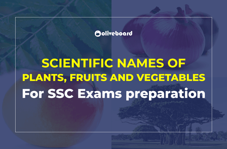 Scientific Names of Plants, Fruits and Vegetables