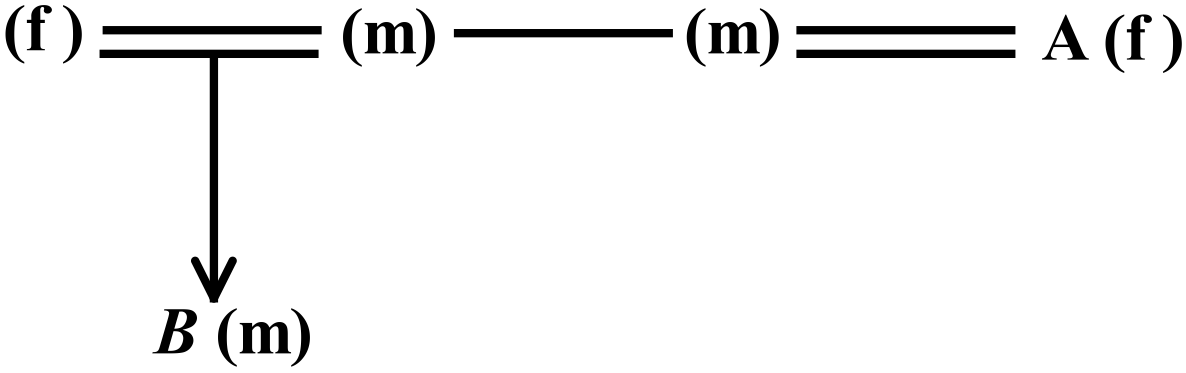 Diagram- schematic representation