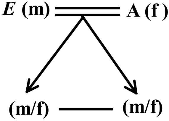 Blood Relation- question 3