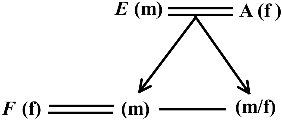 Blood Relation-Question3