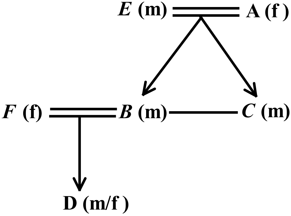 Blood relation- q3-3