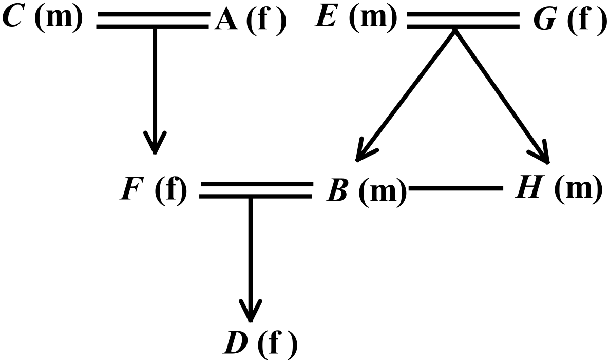 Schematic representation of a family tree