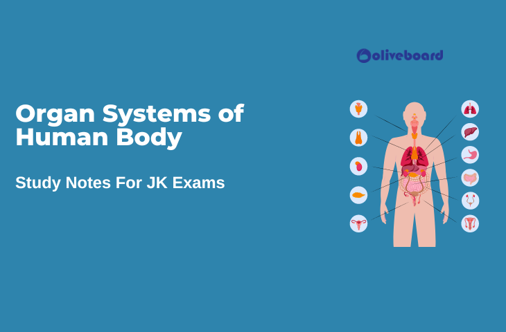 Organ-Systems-of-Human-Body