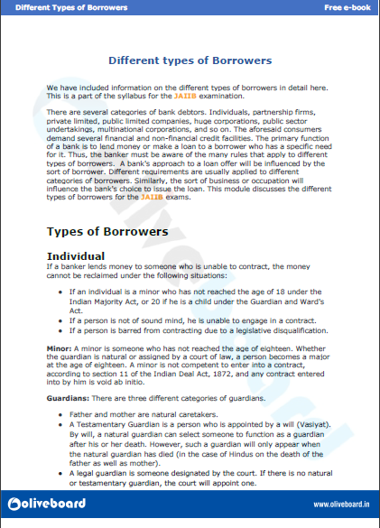 different types of borrowers