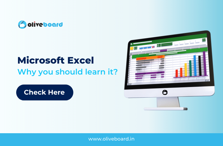 MS Excel Basics