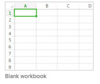 MS Excel Workbook