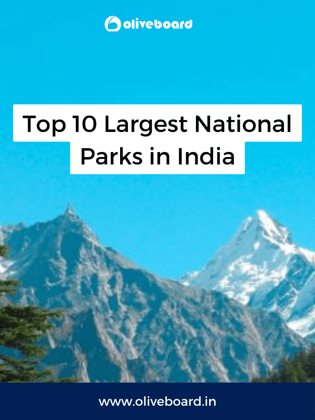 Top 10 Largest National Parks in India