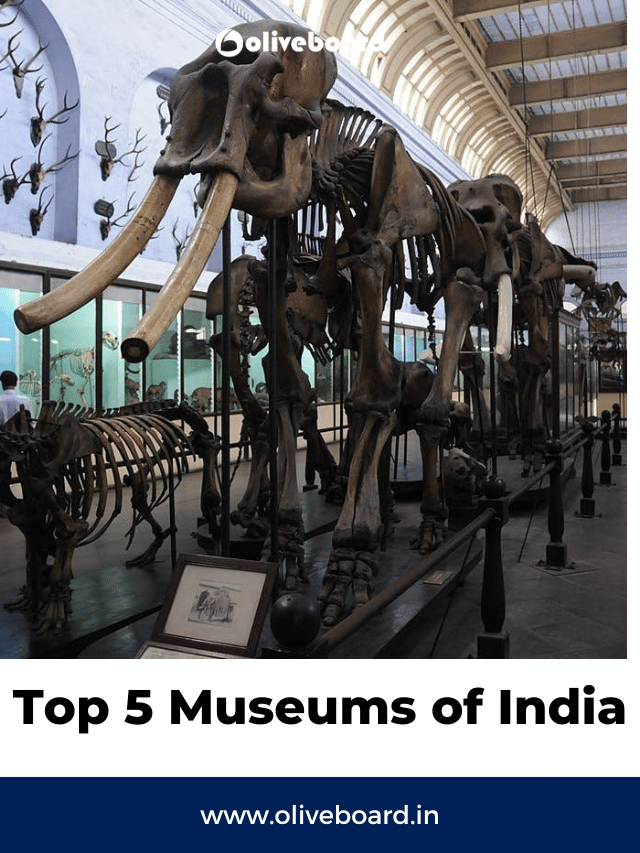 Top 5 Museums of India