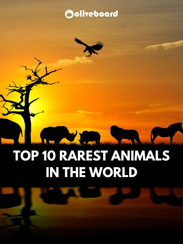 top 10 rarest animals in the world