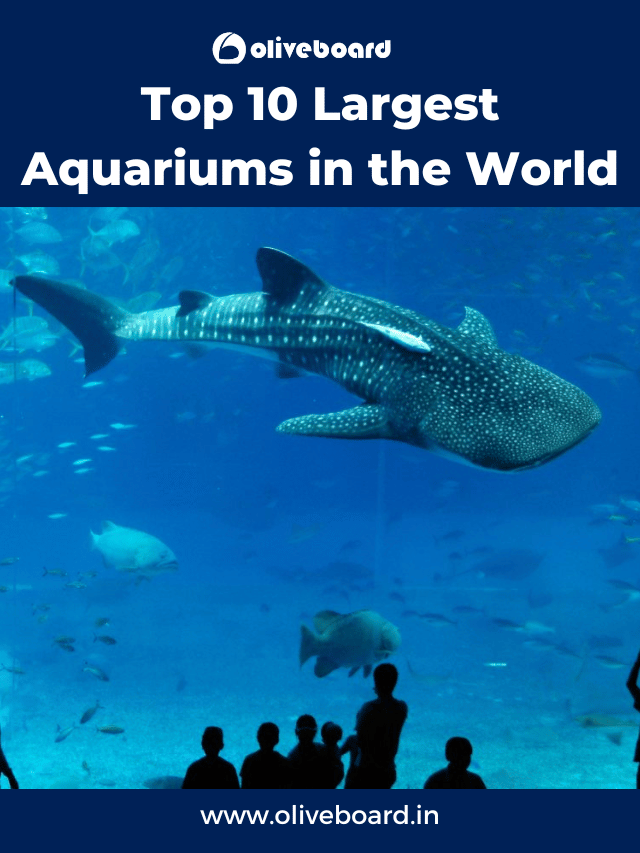Top 10 Largest Aquariums in the World