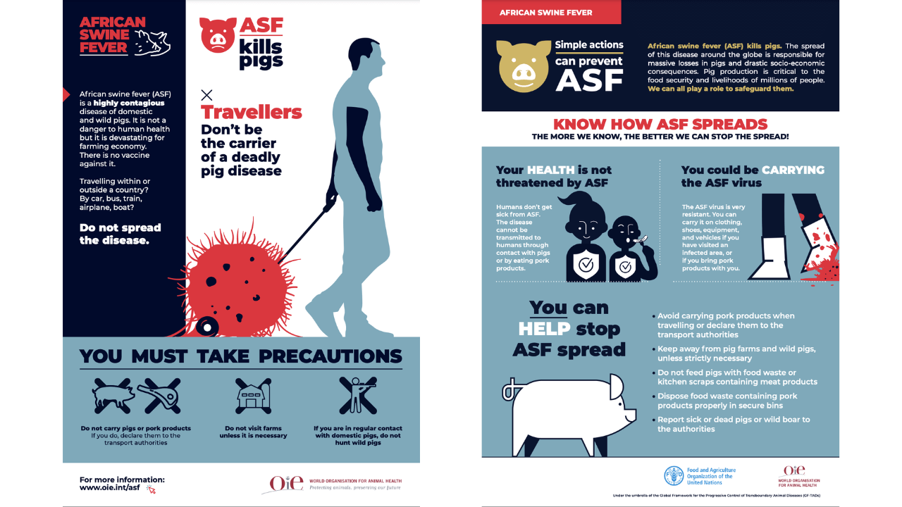 Urgent Measures and Lessons to Learn: African Swine Fever