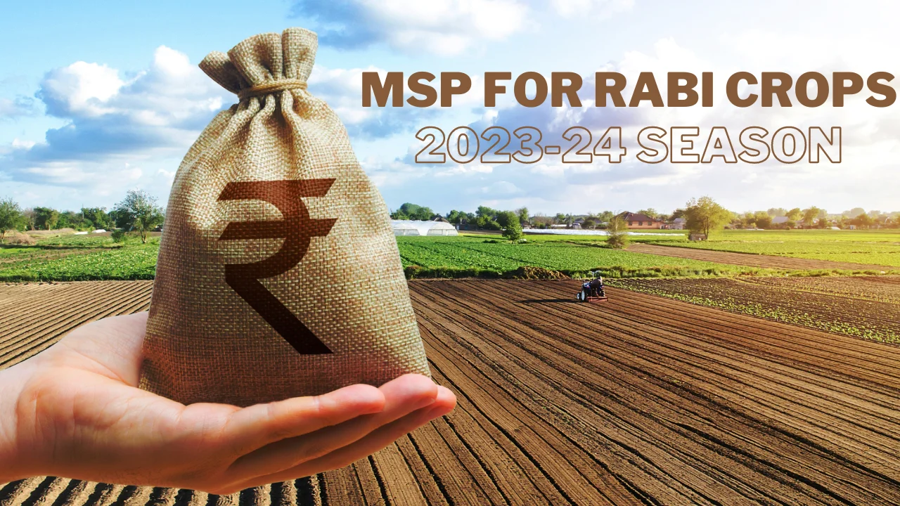 Cabinet Approves MSP for Rabi Crops for 2024-25 Season