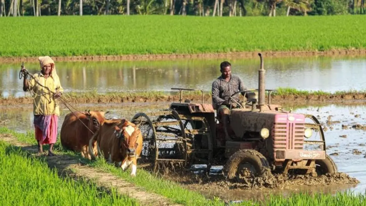 Kisan Diwas 2023 (Farmer’s Day 2023)