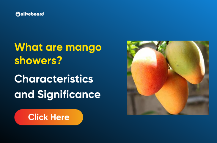 What are mango showers