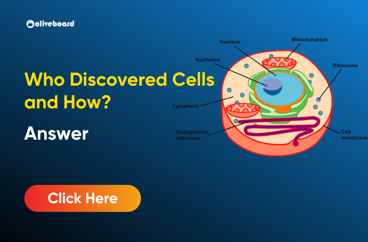 Who Discovered Cells and How