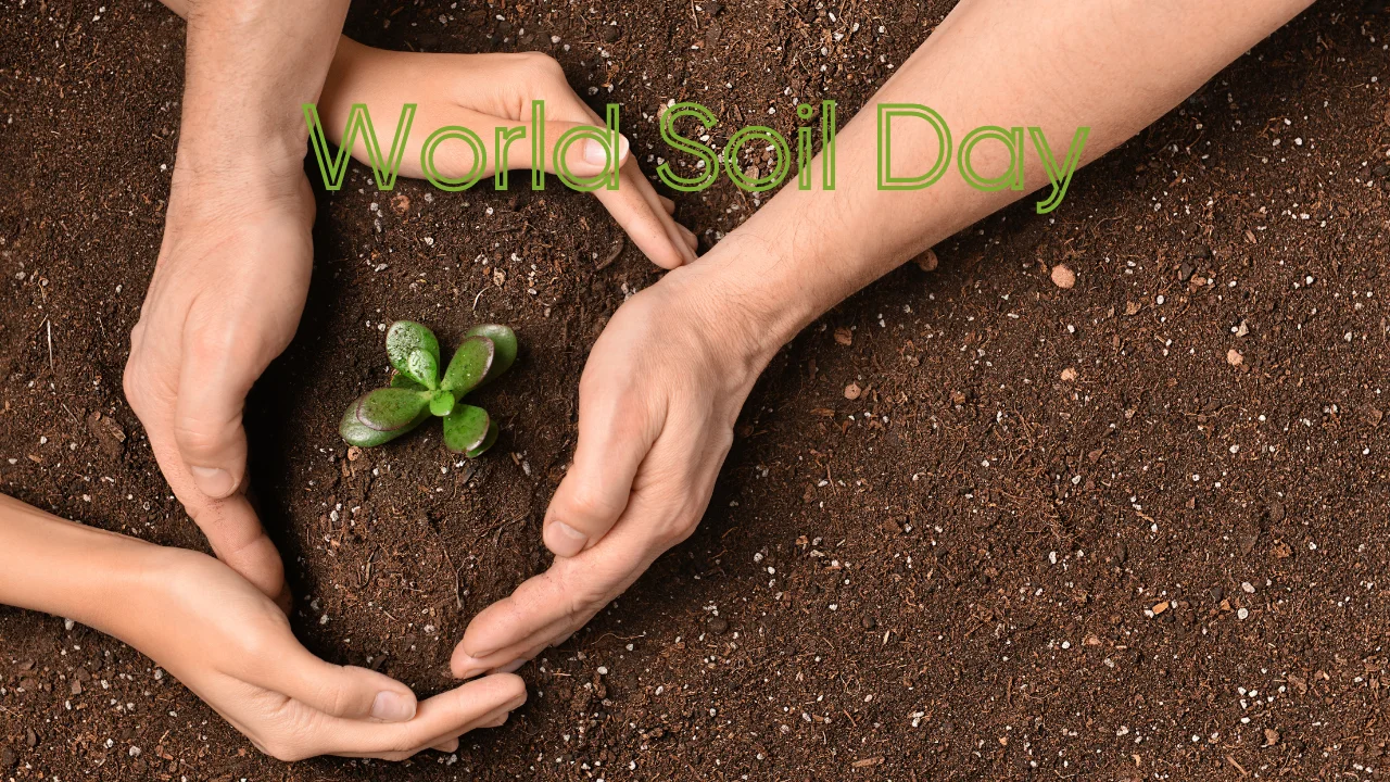 World Soil Day 2023