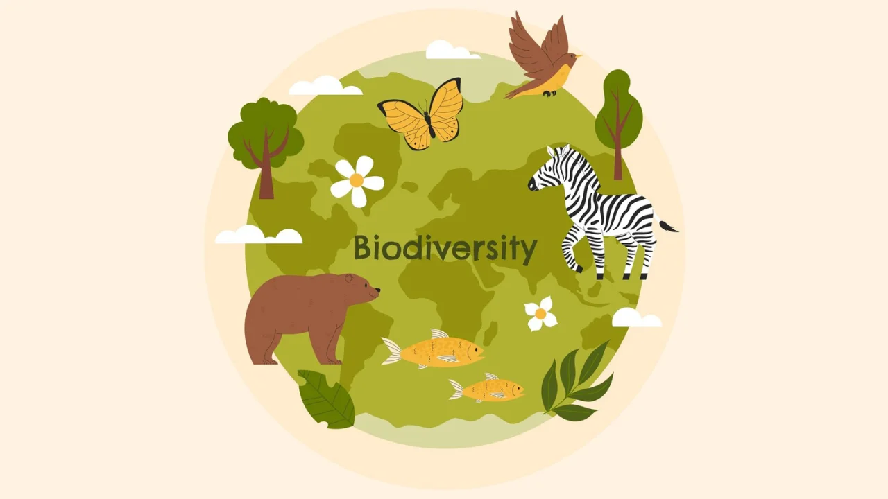 International Day for Biological Diversity 2024 (22nd May)