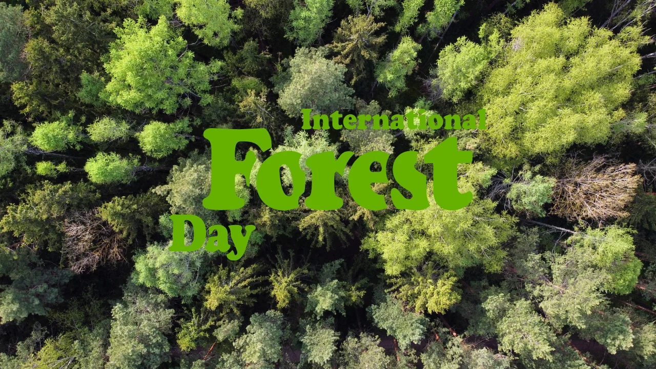 International Day of Forests 2024 (21st March), Theme & History