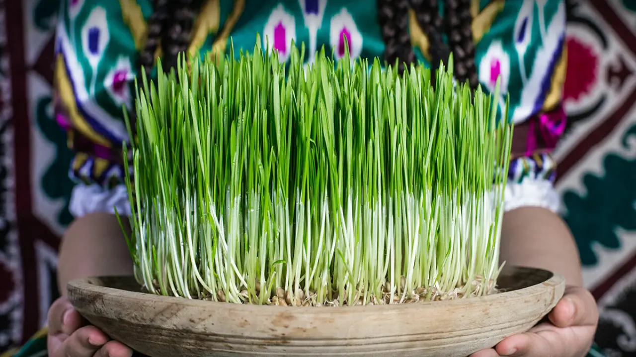 International Day of Nowruz 2024