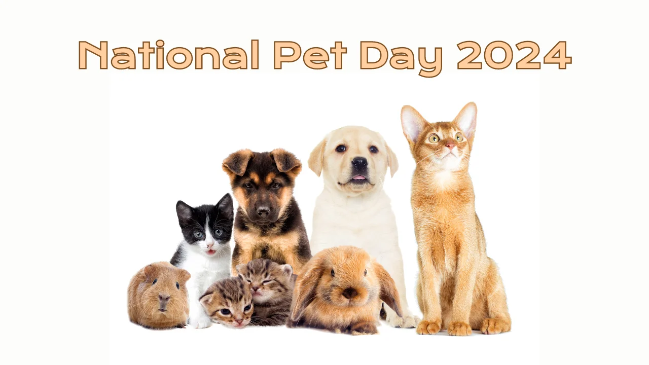 National Pet Day 2024