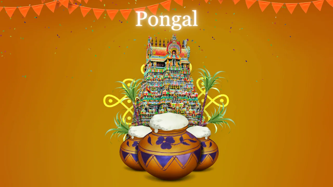 Pongal 2024, Celebrations, History & Significance