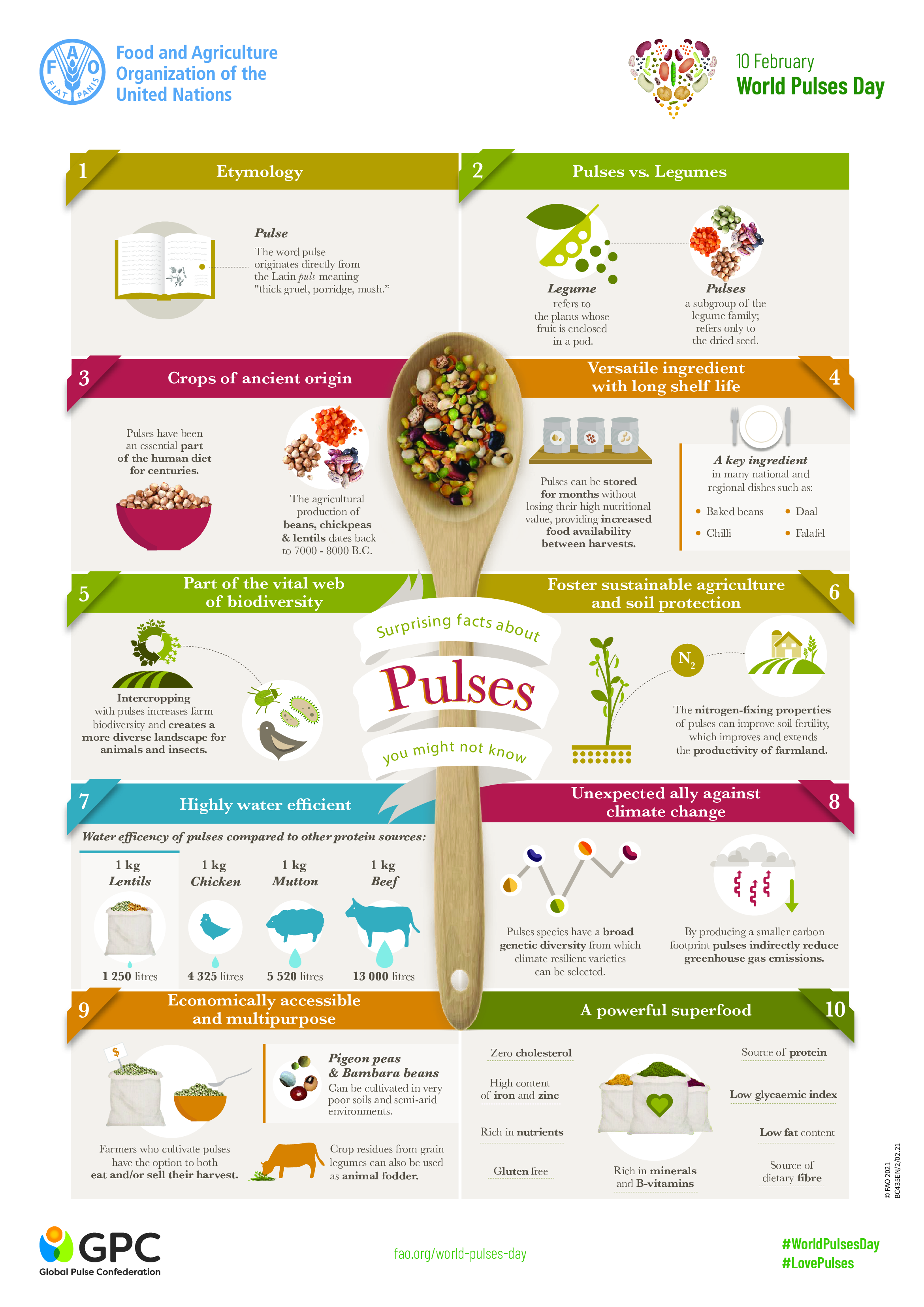 Surprising Facts about Pulses