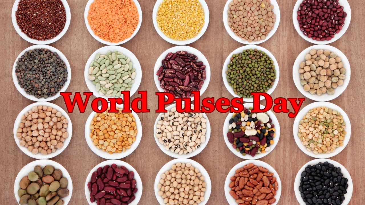 World Pulses Day 2024 (10th February), Theme & History
