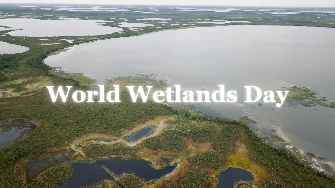 World Wetlands Day 2024 (2nd February), Theme & Significance