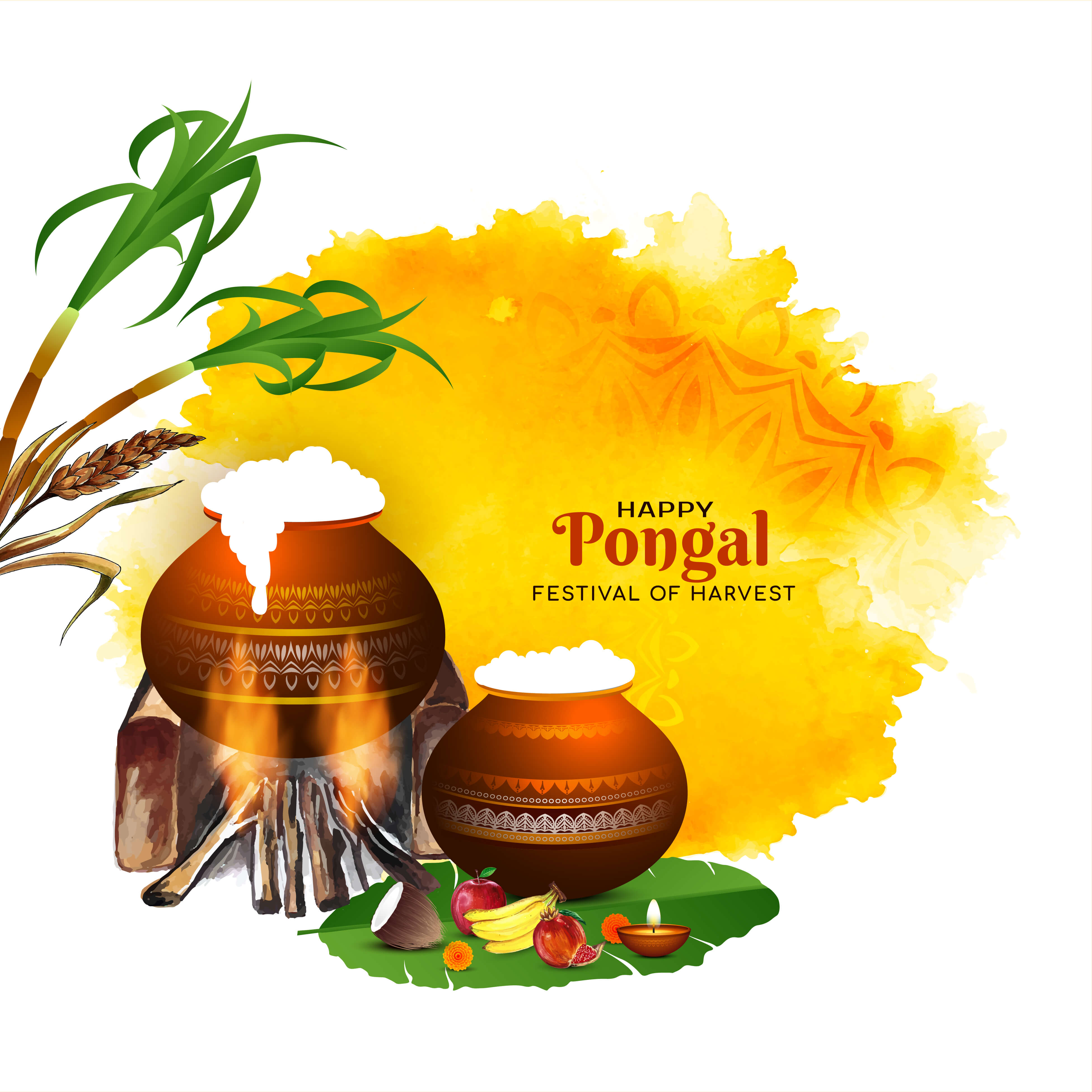 Happy Pongal 2024 - Festival of harvest 