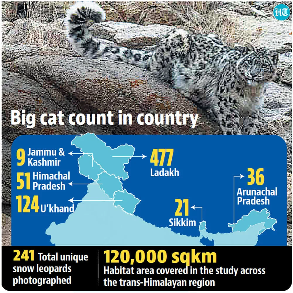 India home to 718 snow leopards; Ladakh highest with 477: SPAI Report