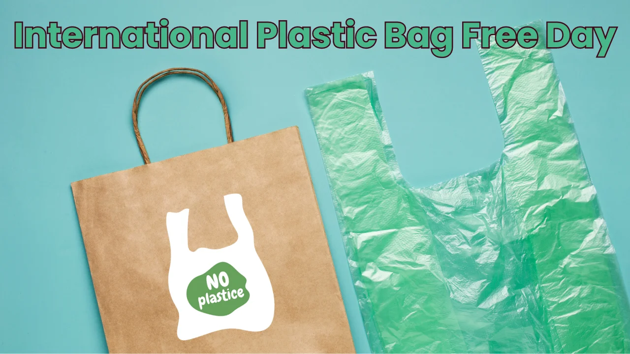 International Plastic Bag Free Day 2024 (3rd July)