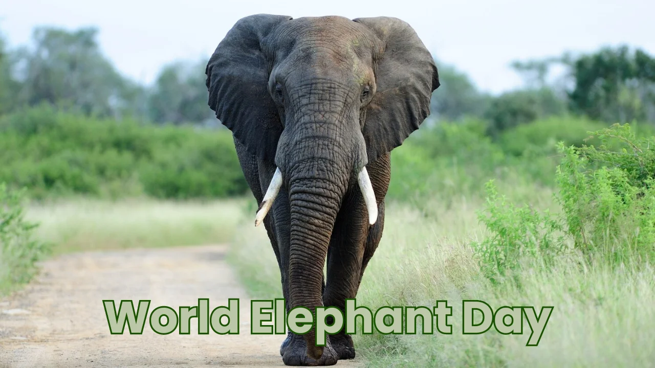 SAVE THE ELEPHANT DAY - April 16, 2024 - National Today