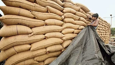 Govt to sell 'Bharat Rice' at ₹29/kg in retail outlets from Feb 9