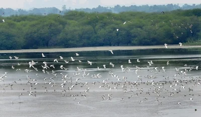 India increases its tally of Ramsar sites to 80 by adding 5 more wetlands to the list
