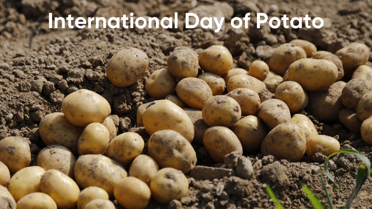 International Day of Potato 2024 (30th May), Theme & History