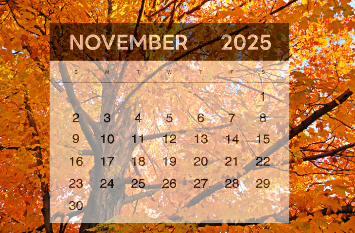 important-days-in-november-2025