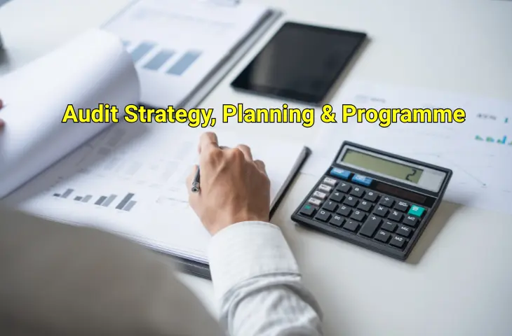 Audit Strategy Planning & Programme