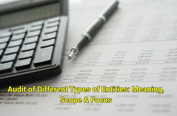 Audit of Different Types of Entities