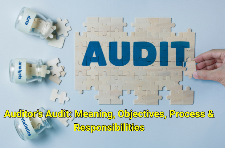 Auditor’s Audit
