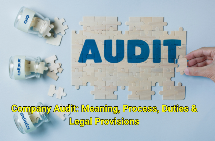 Company Audit