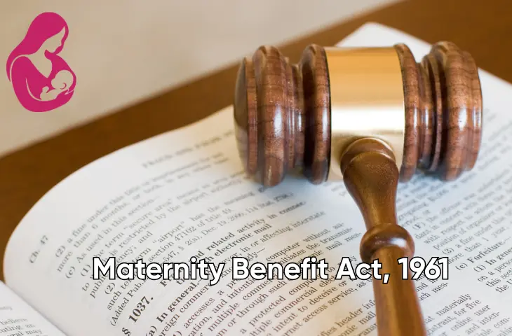Maternity Benefit Act, 1961