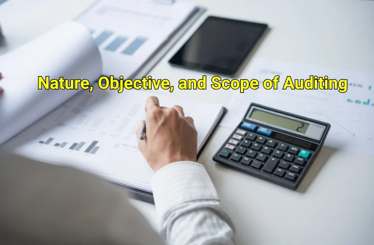 Nature, Objective, and Scope of Auditing